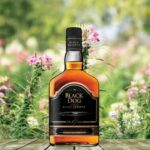 Black Dog Whisky Price in Goa 2025 (60ml, 90ml, 180ml, 375ml 750ml, 1L)