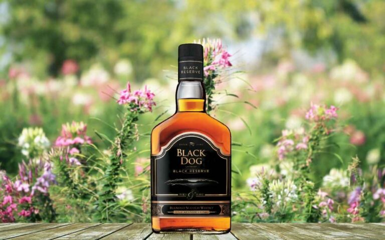 Black Dog Whisky Price in Goa 2025 (60ml, 90ml, 180ml, 375ml 750ml, 1L)